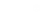 Adamant Press
